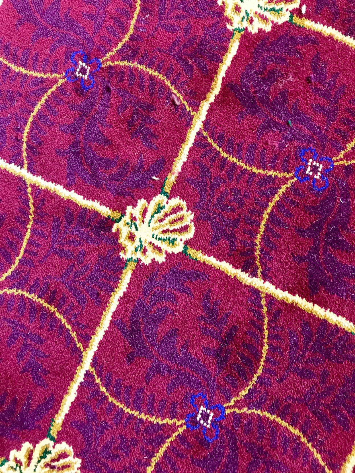 Carolina Theatre Renaissance Room carpeting.jpg